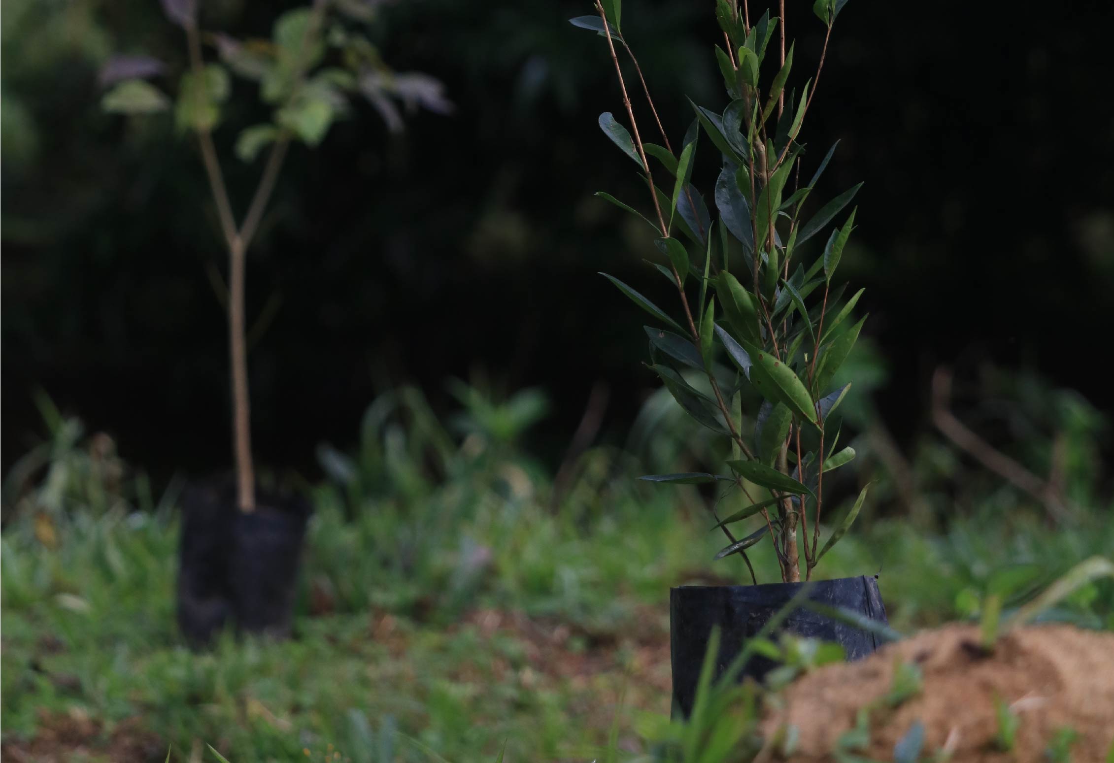 John Deere Carbon Free | Case CEO Summit 2021