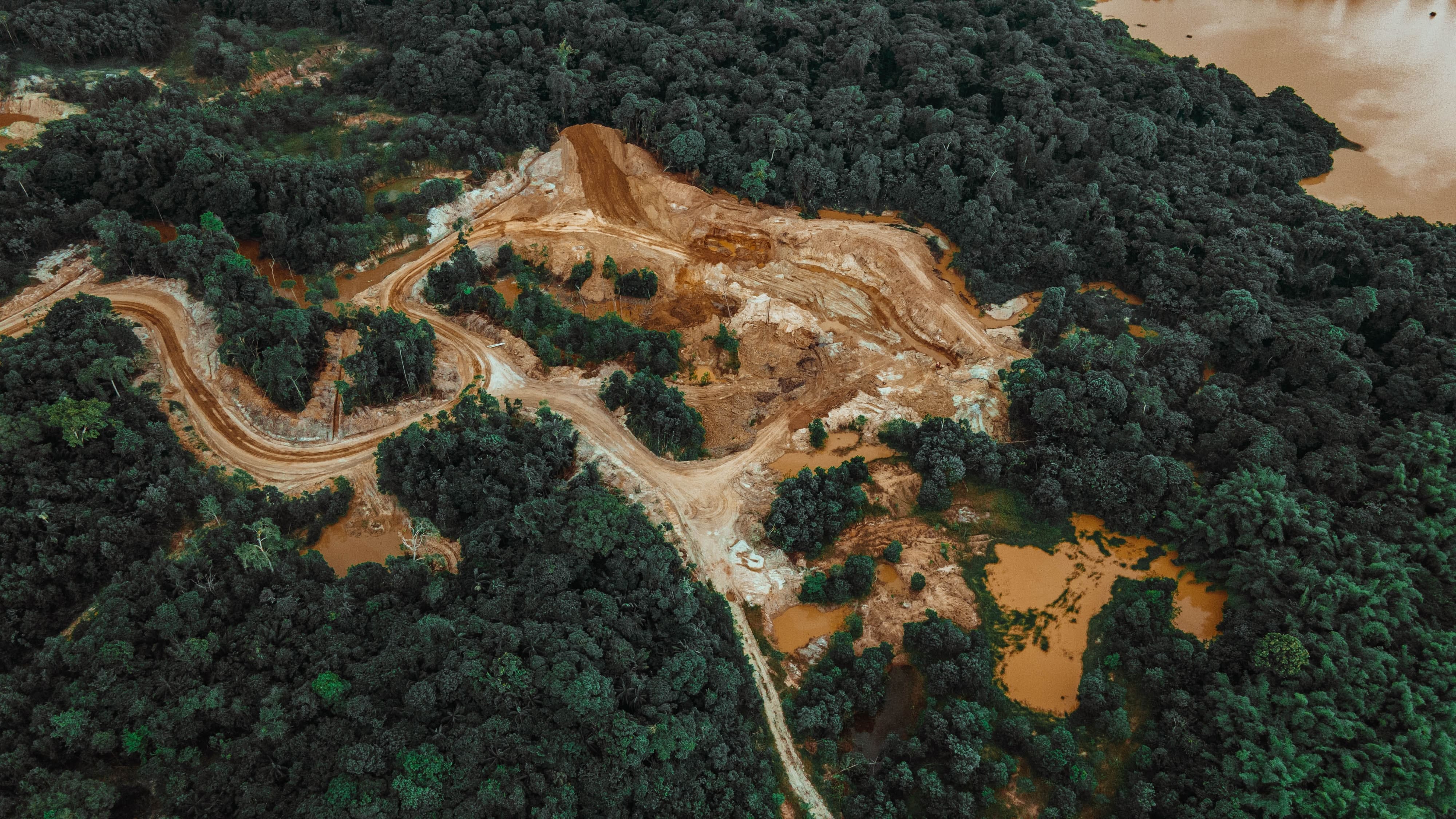 A década da Restauração Ecológica começou!
