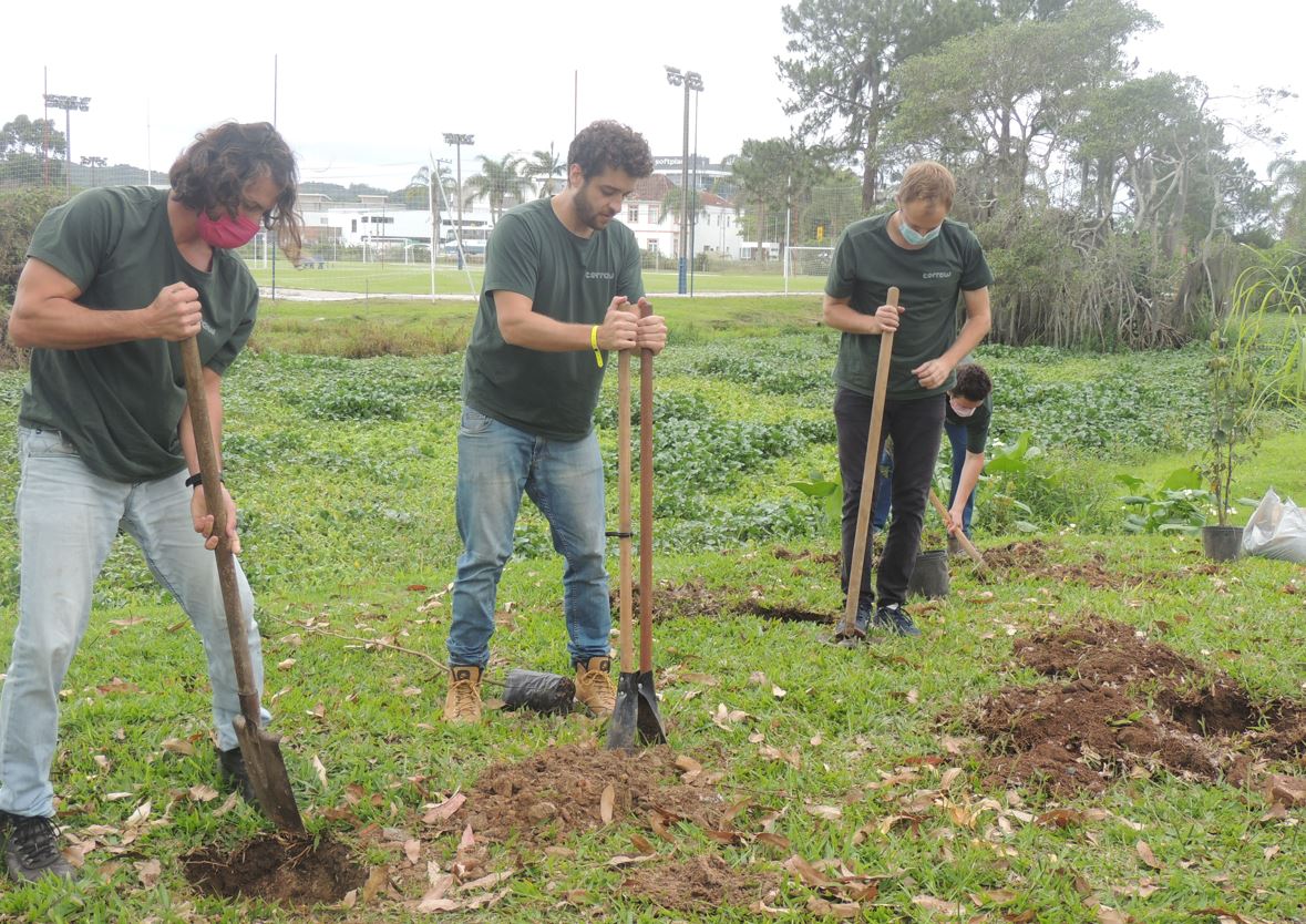 Terraw | Case Embalagens Sustentáveis Carbon Free