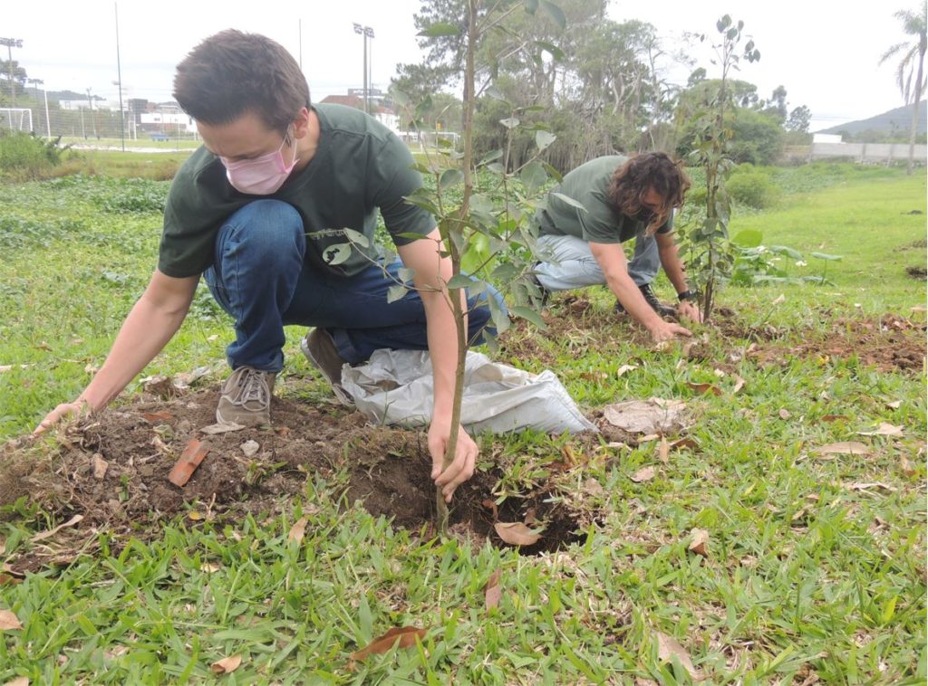Banco de Imagem Nativa - Plantio Terraw - Carbon Free Brasil