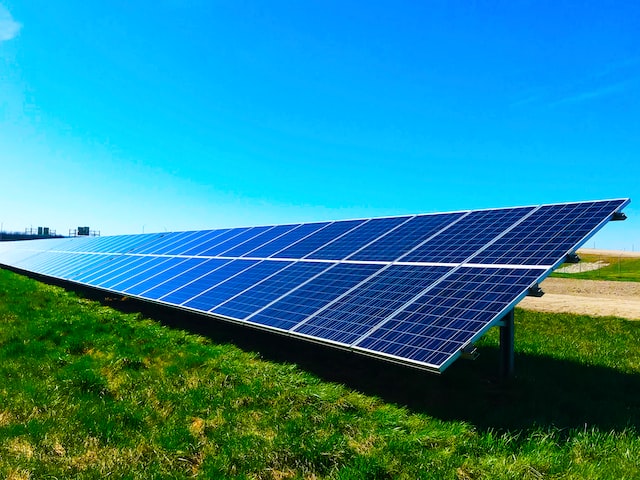 ODS: O que são e como a Carbon Free pode ajudar a trabalhá-las?