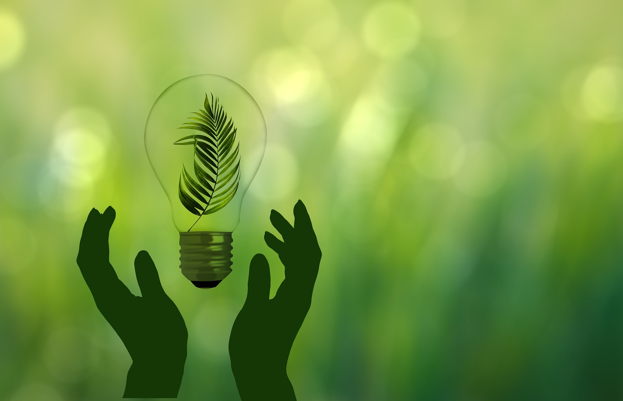 Saiba como a sustentabilidade ambiental e financeira andam lado a lado