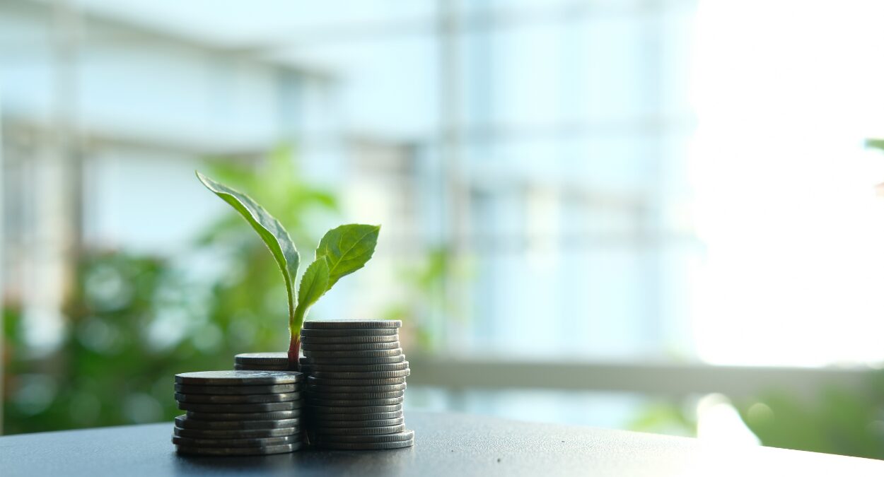 ROI de sustentabilidade: como medir o retorno financeiro das iniciativas ESG