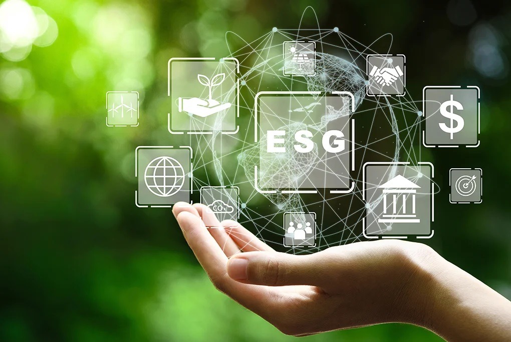 Como desenvolver uma estratégia ESG para sua empresa?