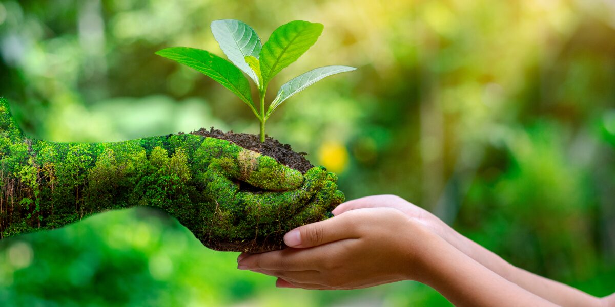Dia Mundial da Educação Ambiental