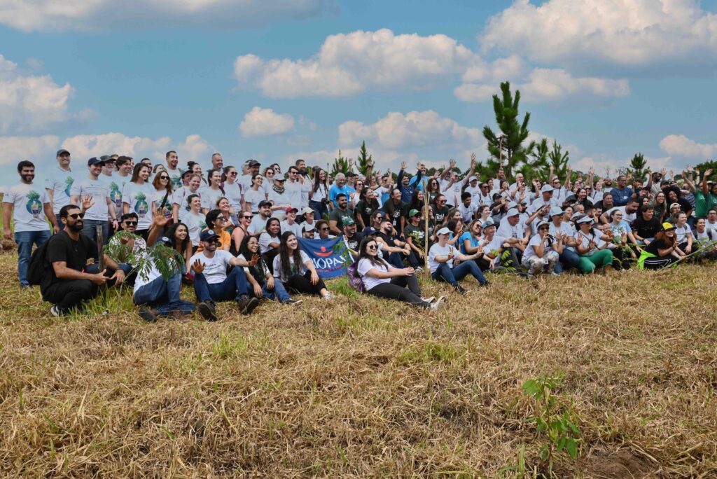 Plantio 2 1024x684