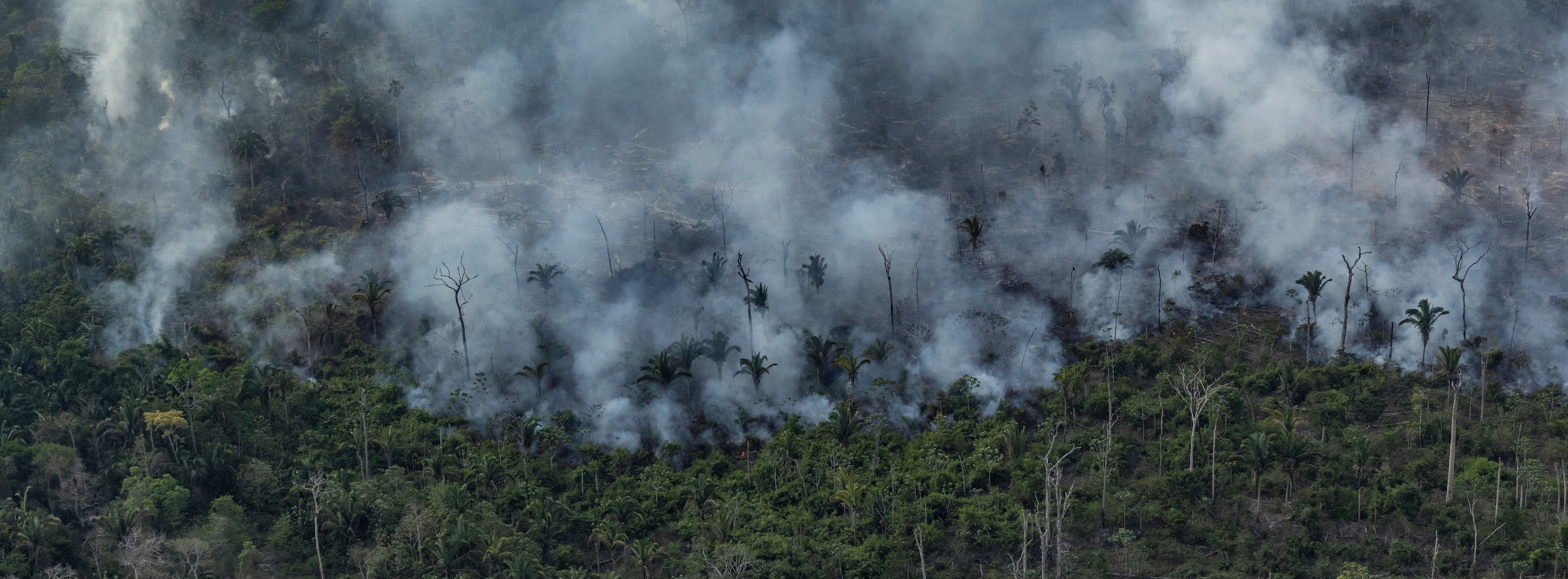 Emissões de Gases de Efeito Estufa: tudo o que sua empresa precisa saber para agir