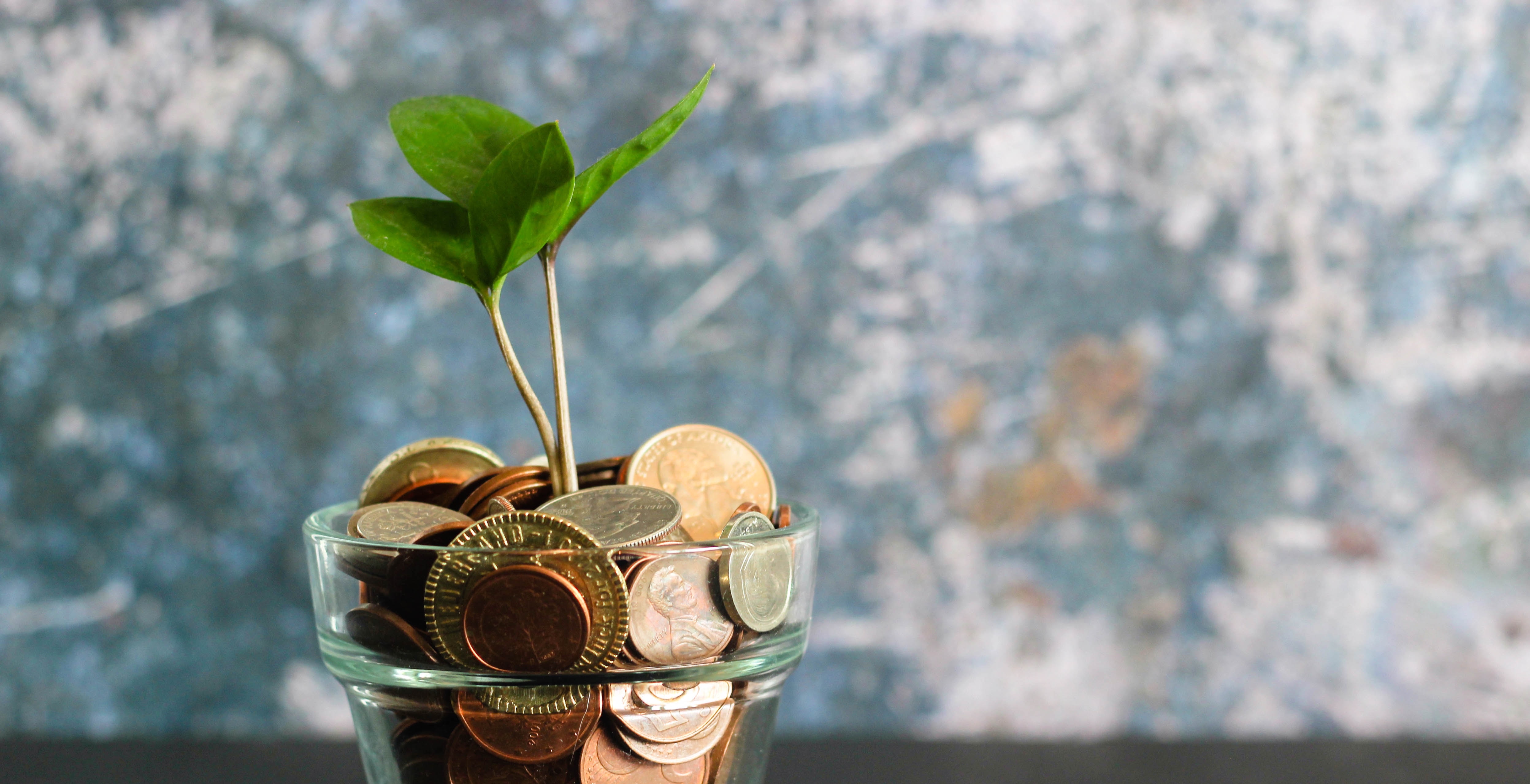 Tendências de Sustentabilidade para 2025: ESG e Descarbonização