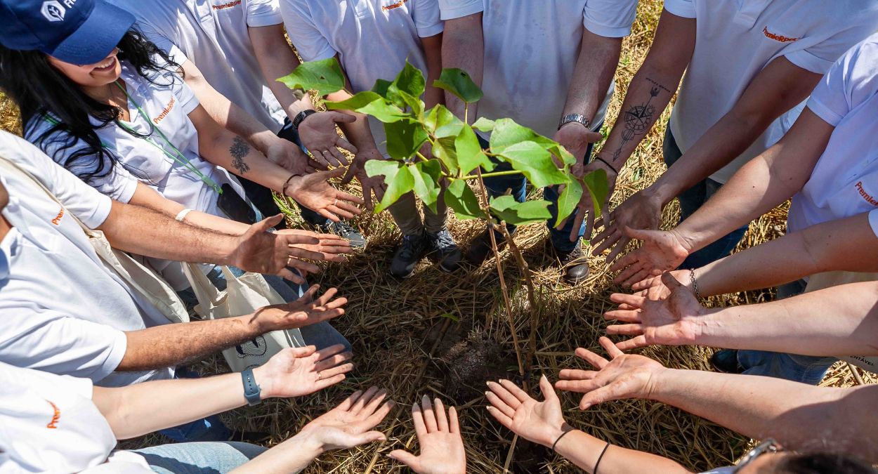 Cashback Ambiental da Carbon Free: compensação que vira plantio