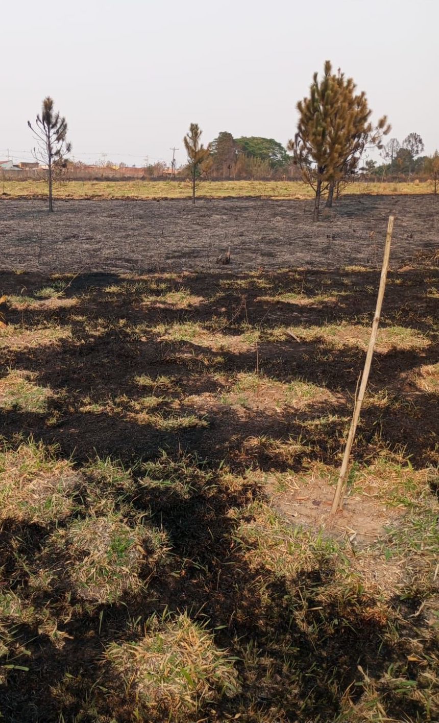 Fomos impactados pelos incêndios!
