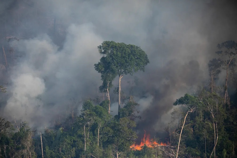 Amazônia: de sumidouro a fonte de carbono?