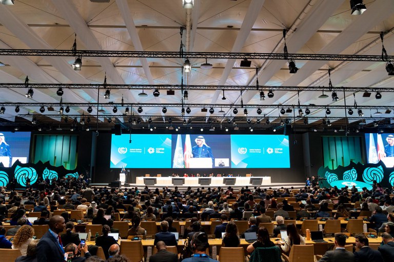 Cop 29 Portal GOV