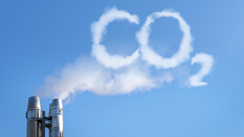 Sustentabilidade empresarial: como agir diante do Relatório Climático WMO 2024
