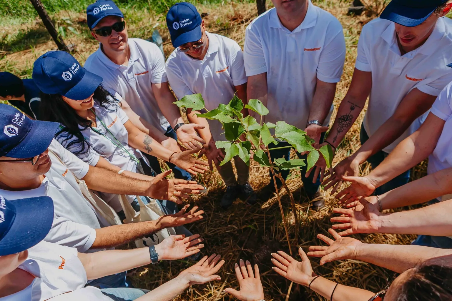Plantio de Integração Carbon Free 2025 em Itapetininga: ampliando impacto ambiental e social