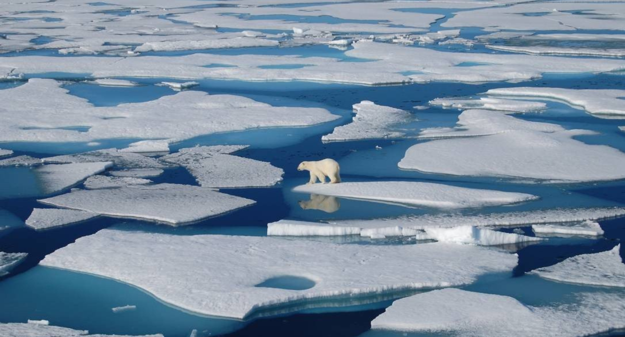 Alerta climático: Gelo dos polos atinge recorde de derretimento