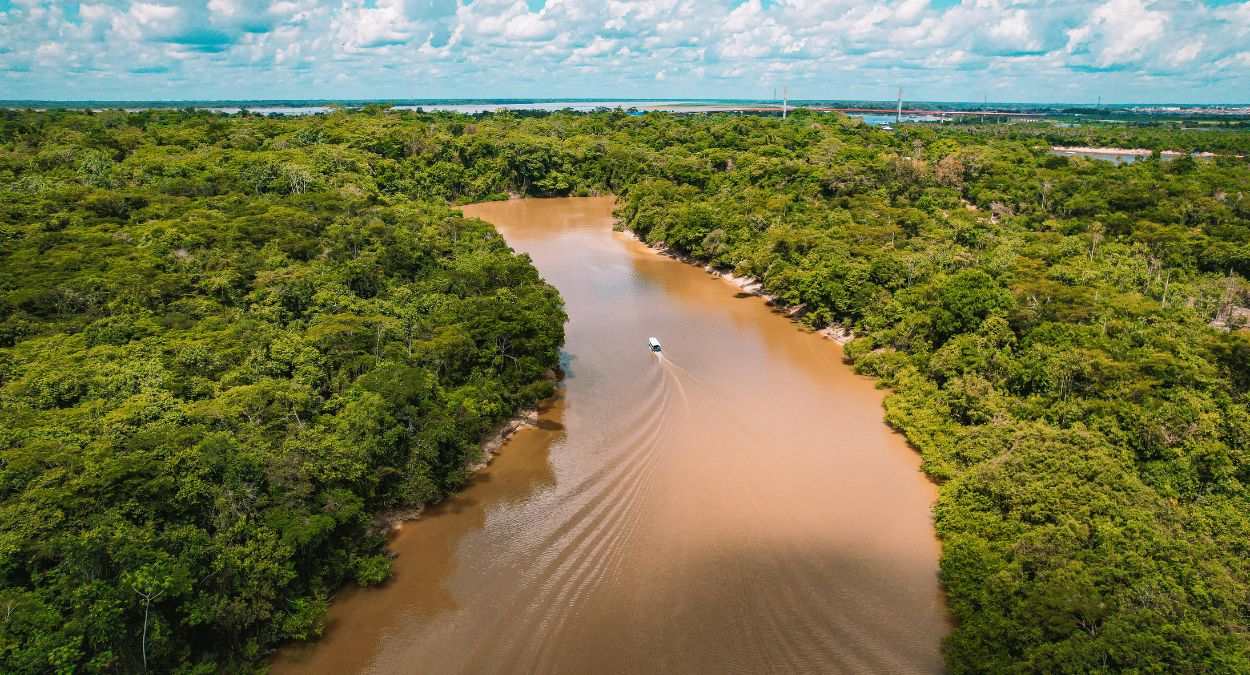 COP30 e Escopo 3: riscos e oportunidades para as empresas brasileiras
