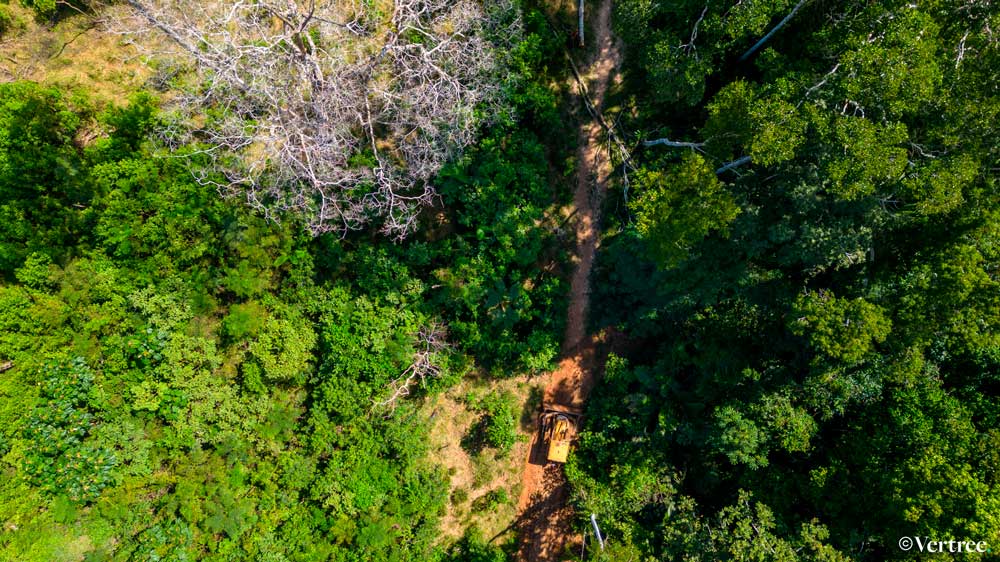 Projeto Agrupado Brazilian Amazon APD