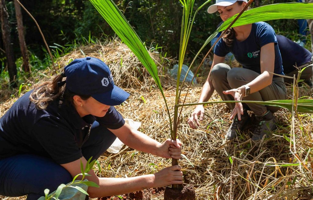 Plantio de integração da carbon free compromisso climático na prática.