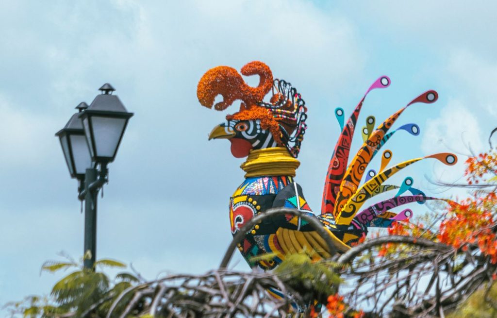 Galo da Madrugada como exemplo de carnaval sustentável