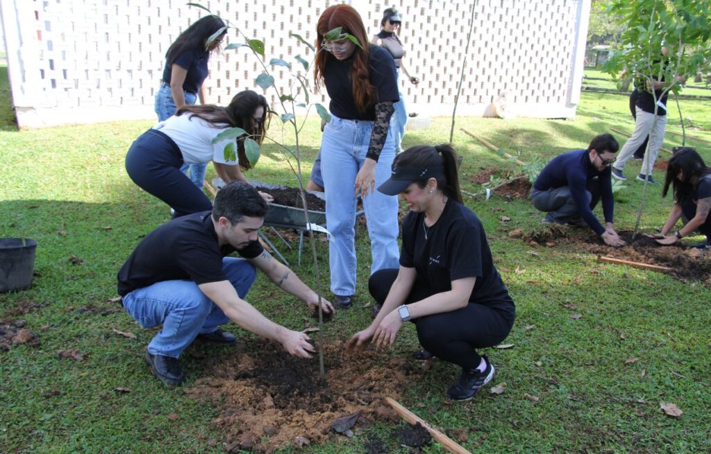Plantio de Integração do Grupo Dimas em Florianópolis